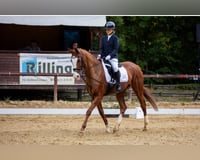 preview pic