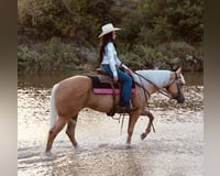 preview pic