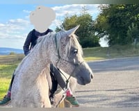 preview pic