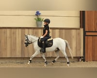 preview pic