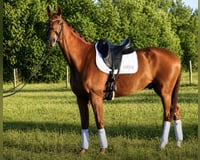 preview pic
