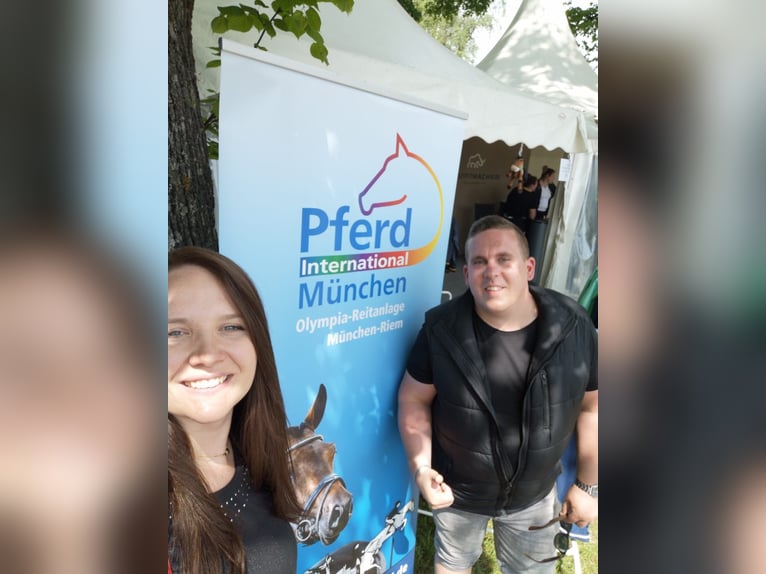 2 Reitbeteiligungen in/um Ulm gesucht 
