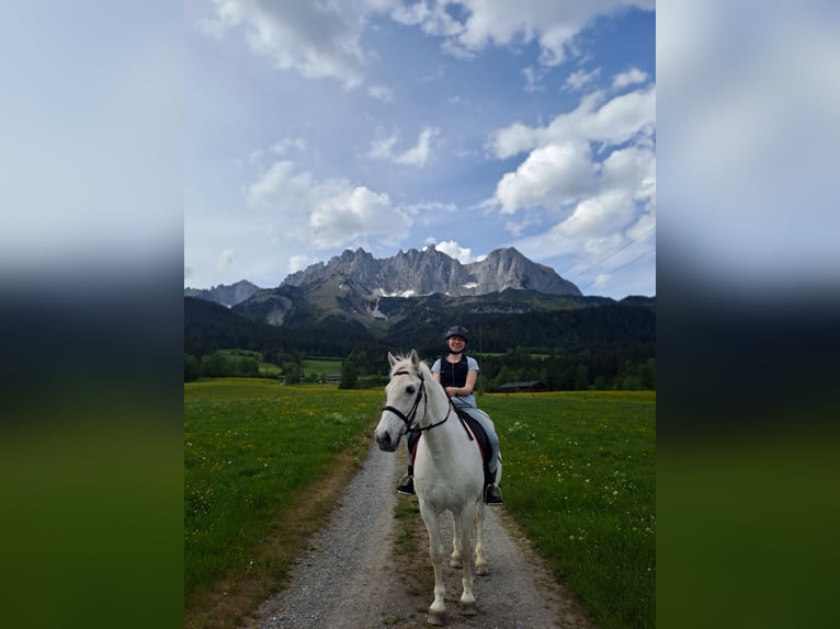 26-jährige Reiterin mit Herz sucht ruhiges liebes Pferd zum Freizeitreiten und Kuscheln