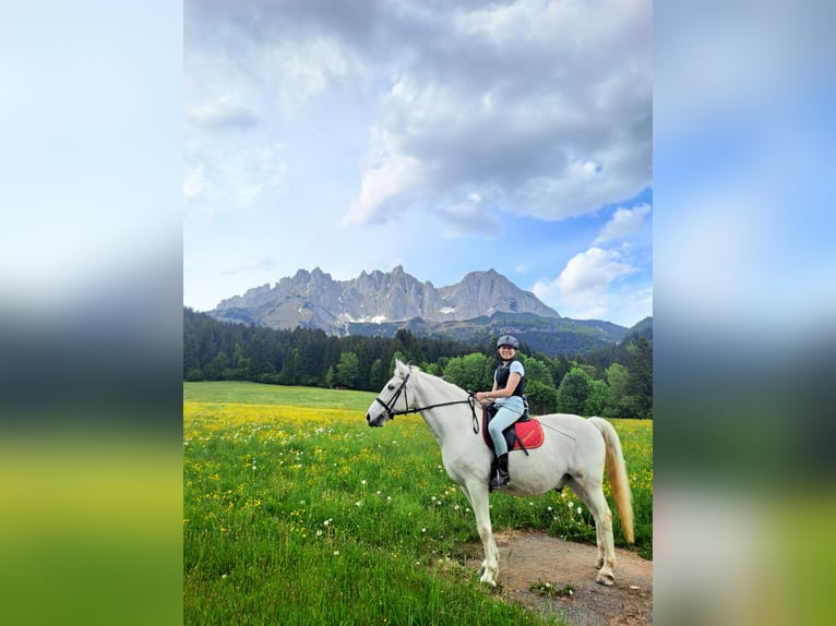 26-jährige Reiterin mit Herz sucht ruhiges liebes Pferd zum Freizeitreiten und Kuscheln