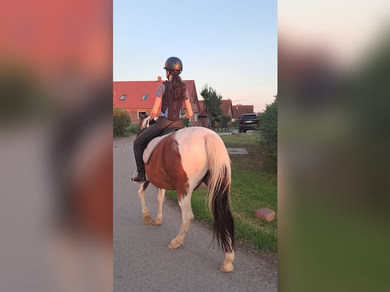 7 Jahre reiterfahrung sucht passende Reitbeteiligung