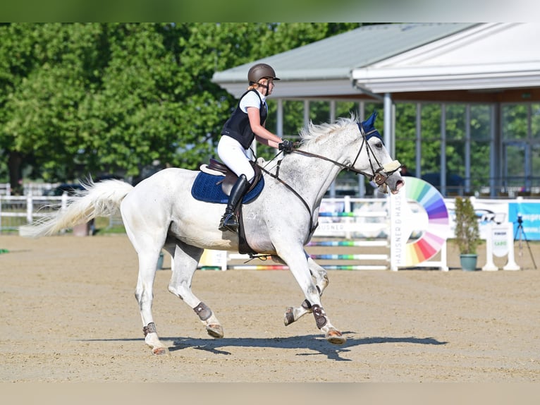 AES Ruin 10 Jaar 182 cm Schimmel in Margarethen am Moos