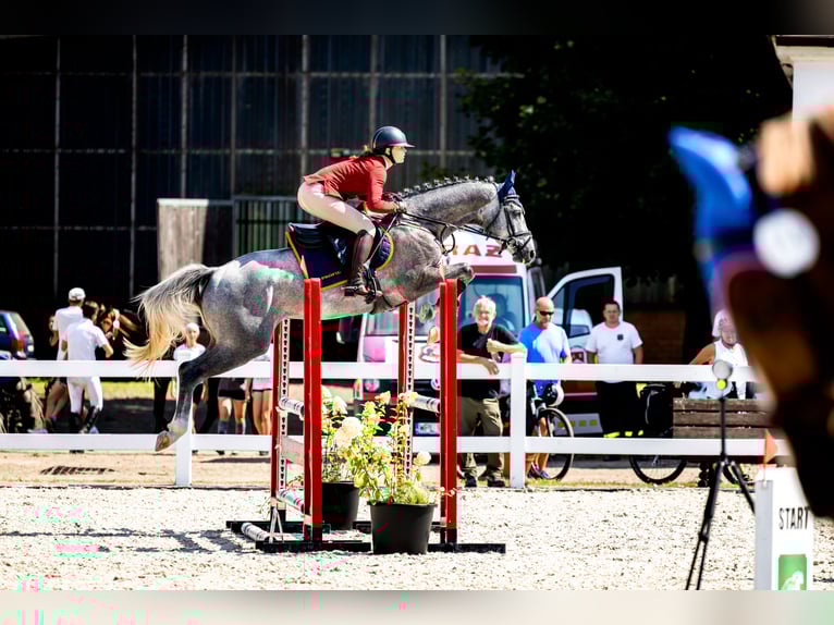AES Ruin 5 Jaar 162 cm Schimmel in Piła