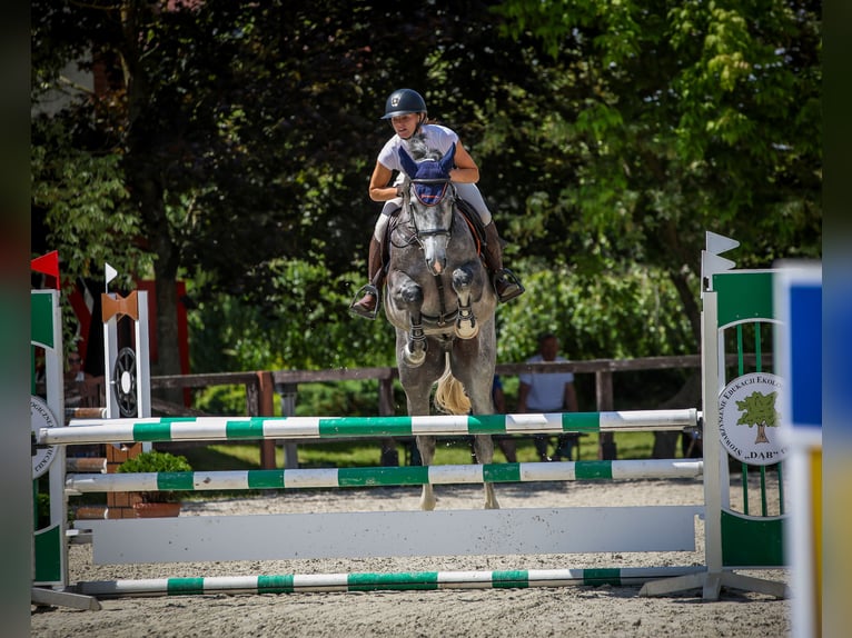 AES Ruin 5 Jaar 162 cm Schimmel in Piła