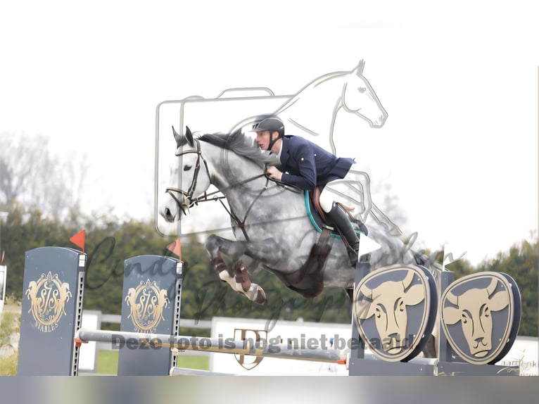 AES Ruin 6 Jaar 166 cm Wit in Ysselsteyn