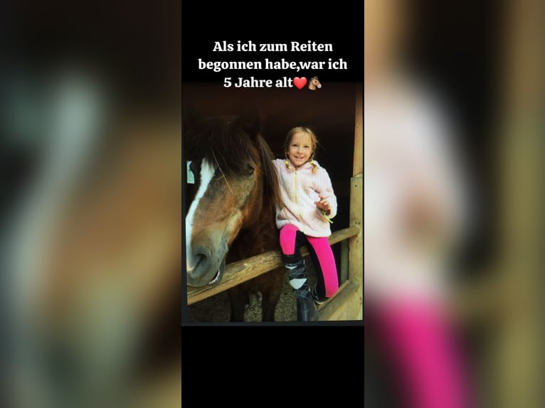 allo! Ich bin Anna, suche eine Reitbeteiligung und bin ein vollkommener Pferdemensch! 