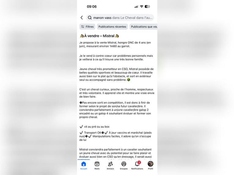 Altre razze Castrone 4 Anni 160 cm Baio ciliegia in Hampigny