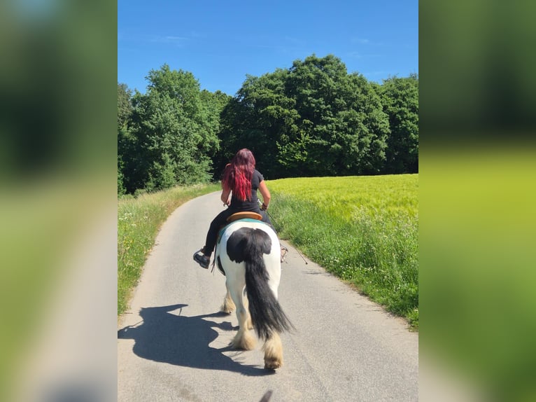 Altre razze Castrone 7 Anni 153 cm Pezzato in Linkenbach