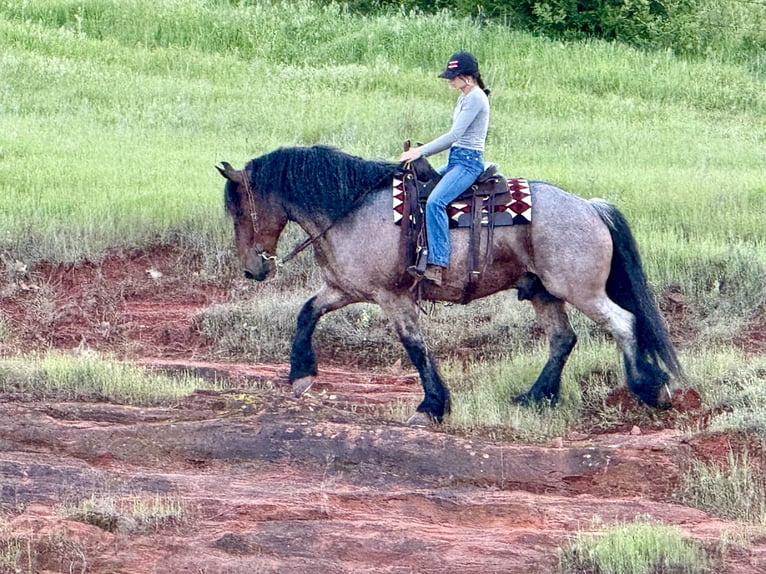 Altre razze Castrone 8 Anni 163 cm Baio roano in Weatherford, TX