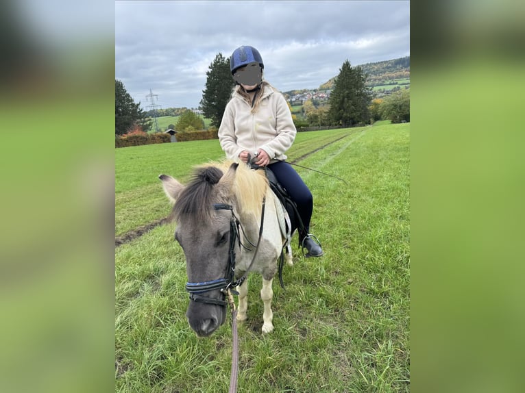 Altre razze Mix Giumenta 6 Anni 125 cm Pezzato in AalenAalen