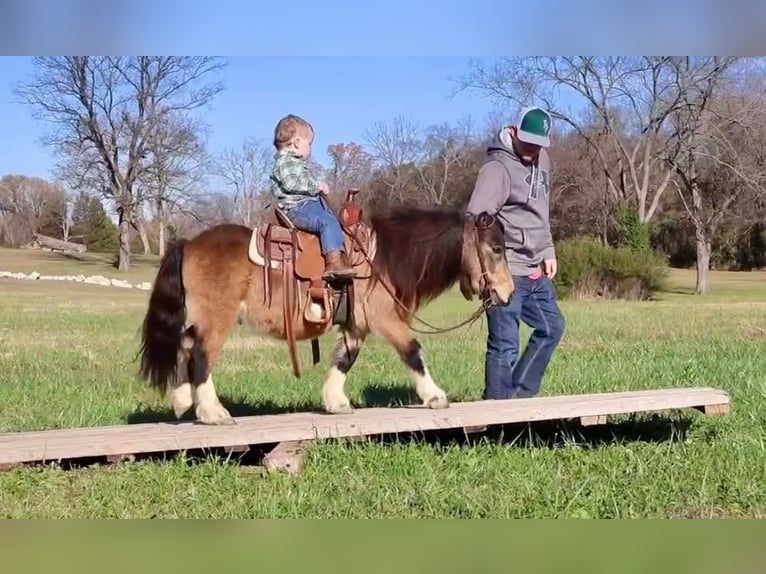 Altri pony/cavalli di piccola taglia Castrone 5 Anni 94 cm Pelle di daino in Auburn