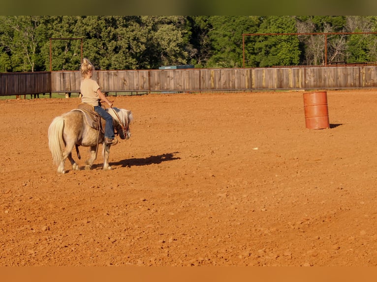 Altri pony/cavalli di piccola taglia Castrone 9 Anni 94 cm in Rusk, TX