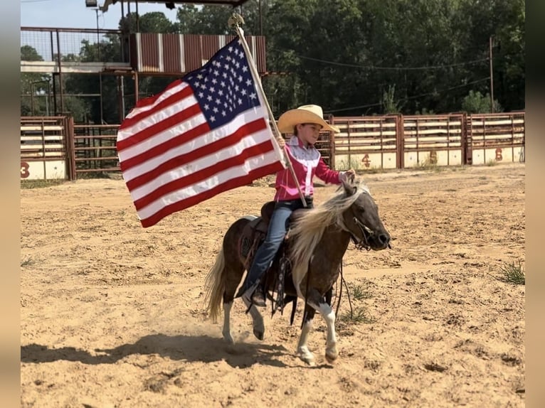 Altri pony/cavalli di piccola taglia Castrone 6 Anni 97 cm Pezzato in Bloomburg