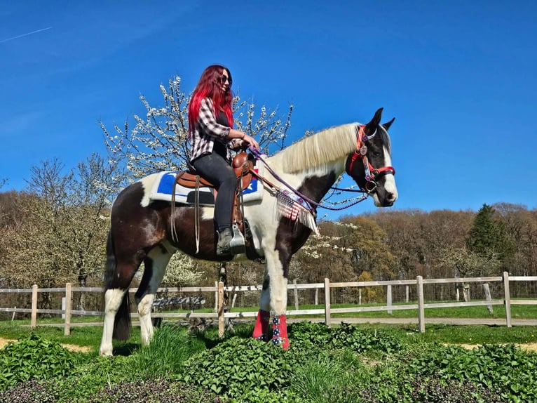 American Paint Horse Mestizo Caballo castrado 3 años 156 cm Pío in Linkenbach