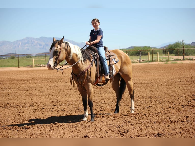 American Paint Horse Castrone 4 Anni Tobiano-tutti i colori in Marana