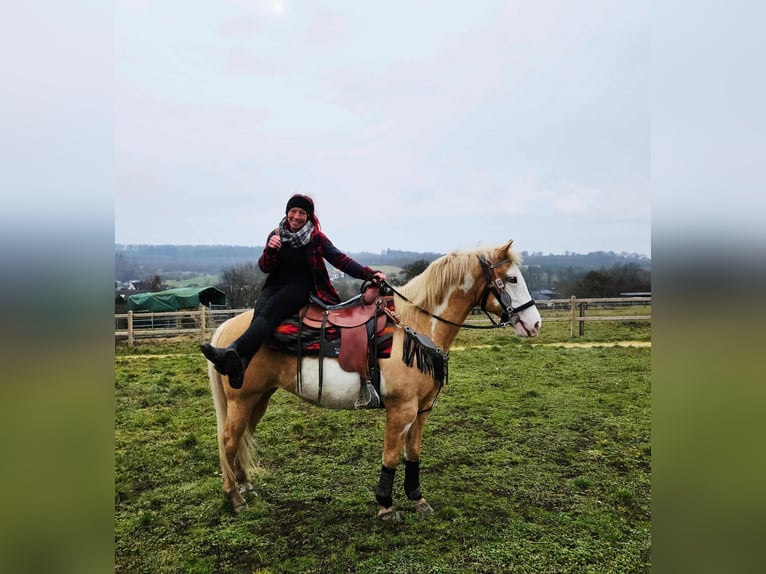 American Paint Horse Giumenta 11 Anni 157 cm Overo-tutti i colori in Linkenbach