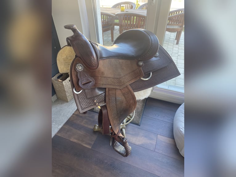 American Paint Horse Giumenta 13 Anni 160 cm Overo-tutti i colori in Goslar Hahndorf