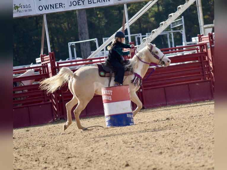 American Paint Horse Giumenta 6 Anni 152 cm  in Slocum, TX