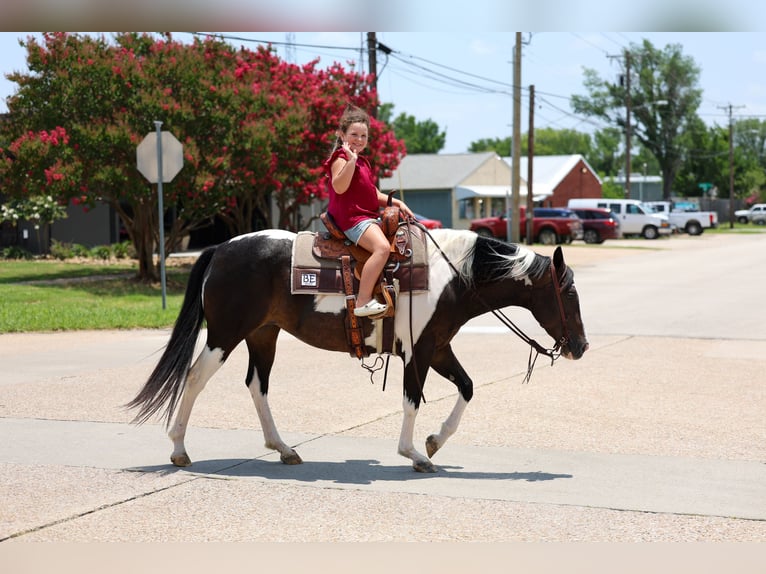 American Paint Horse Giumenta 8 Anni 142 cm Pezzato in Terrell