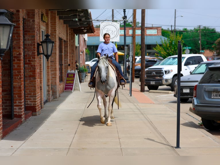 American Paint Horse Hongre 9 Ans Pinto in Terrell