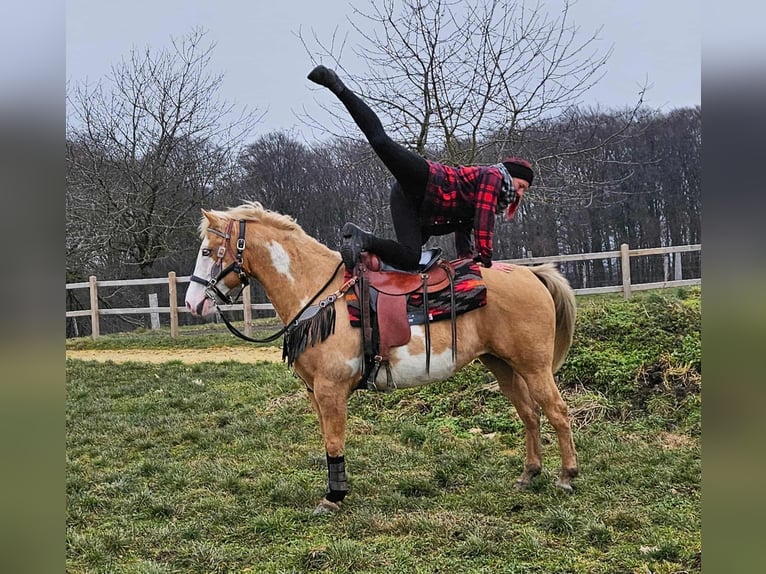 American Paint Horse Jument 11 Ans 157 cm Overo-toutes couleurs in Linkenbach