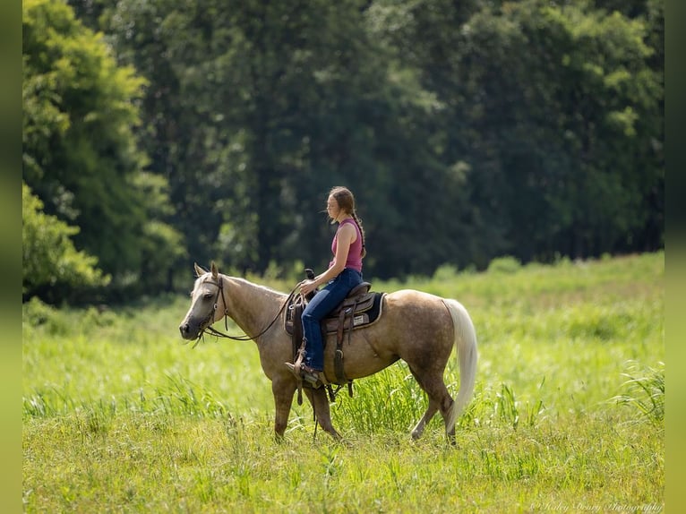 American Paint Horse Jument 8 Ans 142 cm Palomino in Auburn