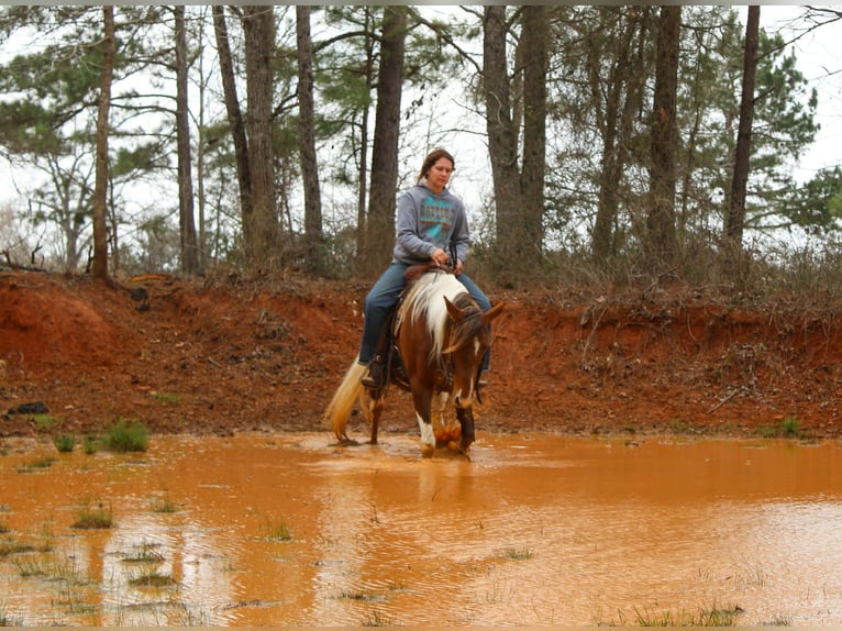 American Paint Horse Jument 9 Ans 150 cm Tobiano-toutes couleurs in Cushing