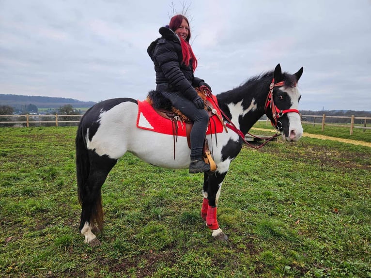 American Paint Horse Klacz 5 lat 152 cm Overo wszelkich maści in Linkenbach