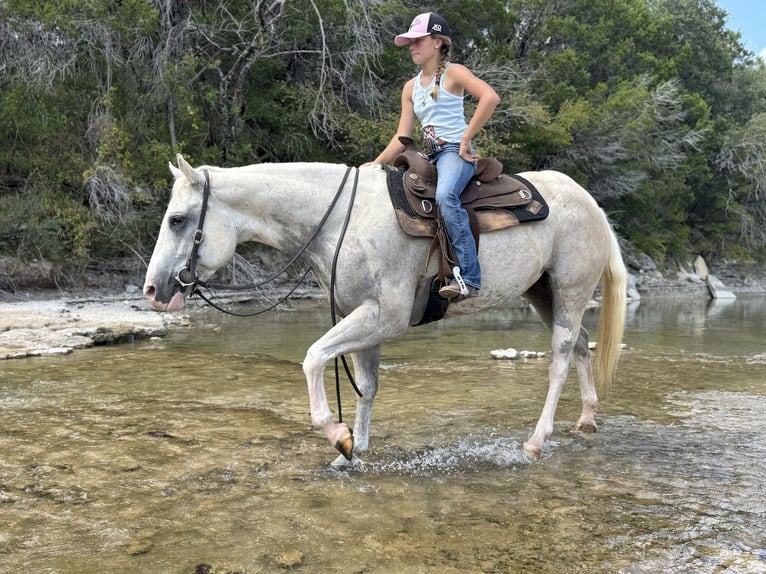 American Paint Horse Mare 6 years 15,1 hh Palomino in Cleburne