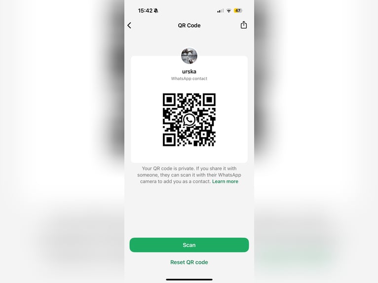 American Paint Horse Mix Merrie 10 Jaar 150 cm Palomino in Spodnji ivanjci