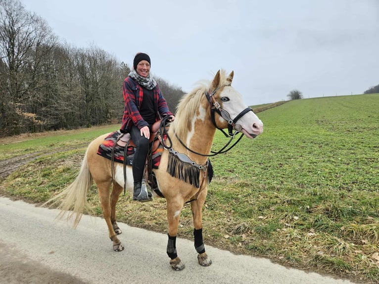 American Paint Horse Merrie 11 Jaar 157 cm Overo-alle-kleuren in Linkenbach