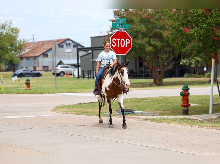 American Paint Horse Merrie 15 Jaar 142 cm Overo-alle-kleuren in Terrell