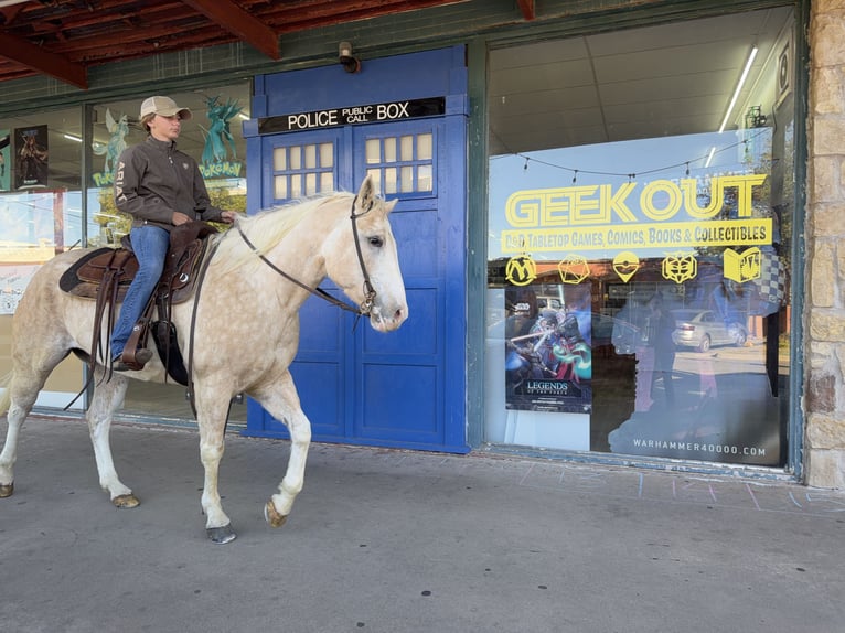 American Paint Horse Merrie 5 Jaar 155 cm Palomino in Cleburne