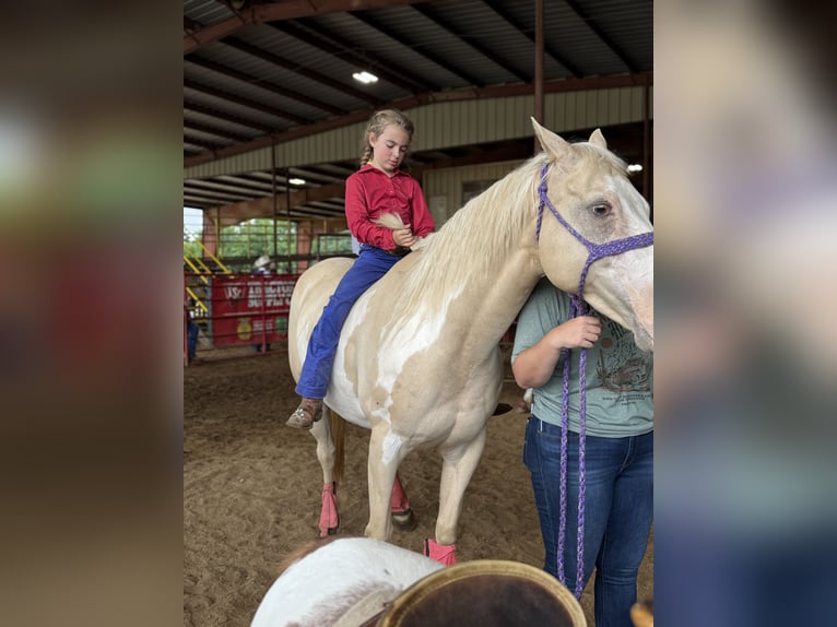 American Paint Horse Merrie 6 Jaar 152 cm  in Slocum, TX