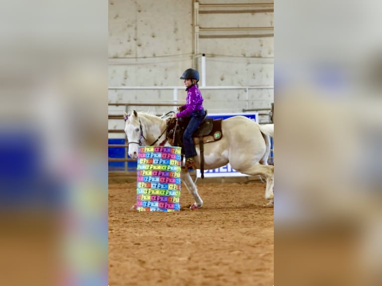 American Paint Horse Merrie 6 Jaar 152 cm  in Slocum, TX