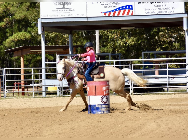 American Paint Horse Merrie 6 Jaar 152 cm  in Slocum, TX
