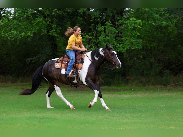 American Paint Horse Merrie 8 Jaar 142 cm Gevlekt-paard in Terrell
