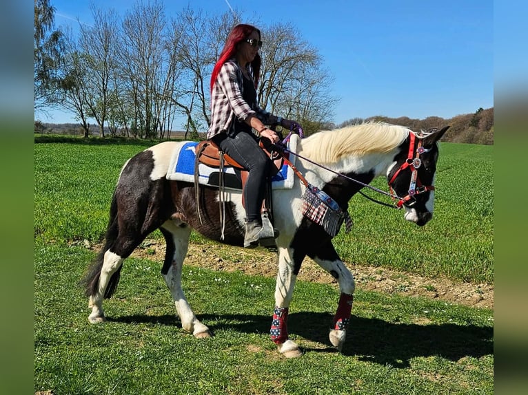 American Paint Horse Mix Ruin 3 Jaar 156 cm Gevlekt-paard in Linkenbach