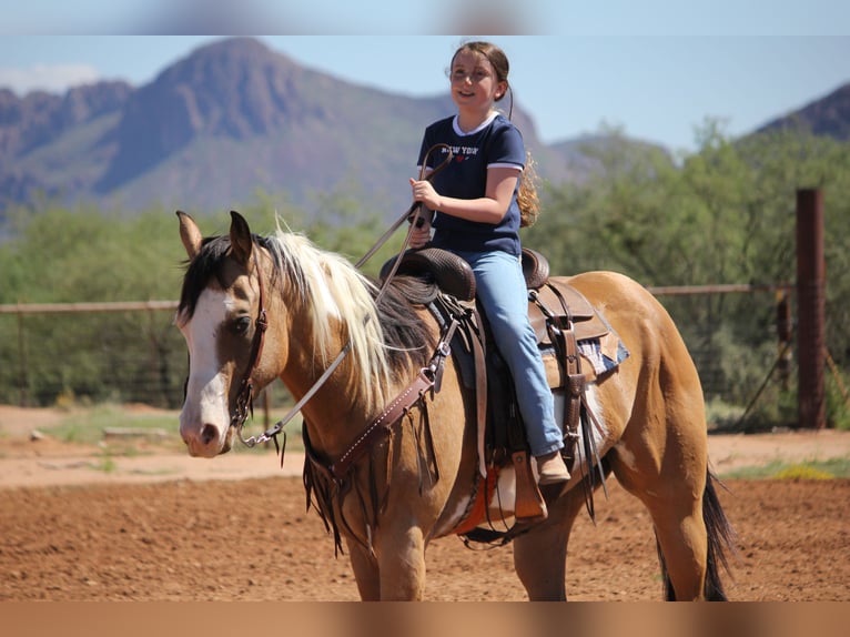 American Paint Horse Ruin 4 Jaar Tobiano-alle-kleuren in Marana