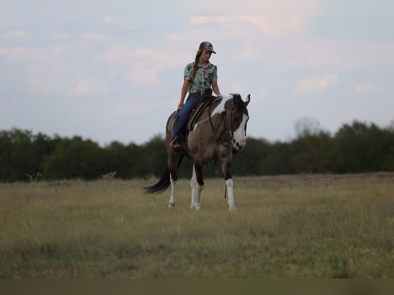 American Paint Horse Wallach 9 Jahre 152 cm Schecke in Mount Vernon