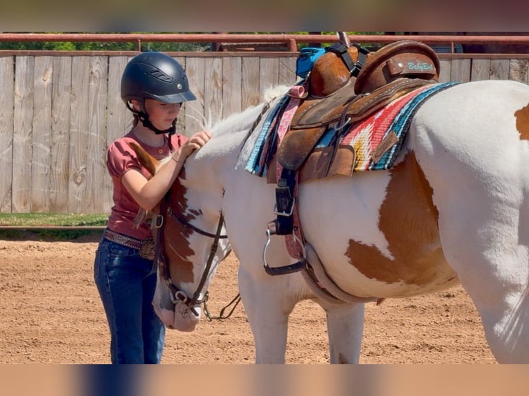 American Paint Horse Yegua 10 años Pío in Weatherford