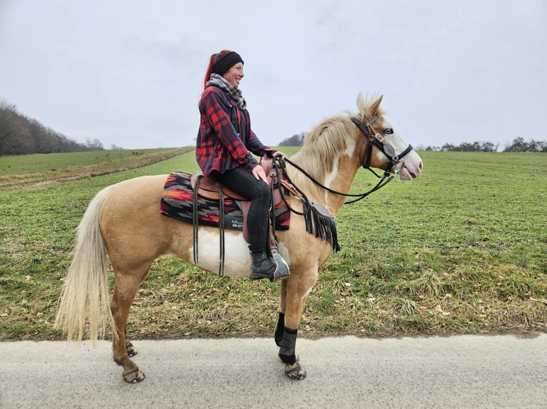 American Paint Horse Yegua 11 años 157 cm Overo-todas las-capas in Linkenbach