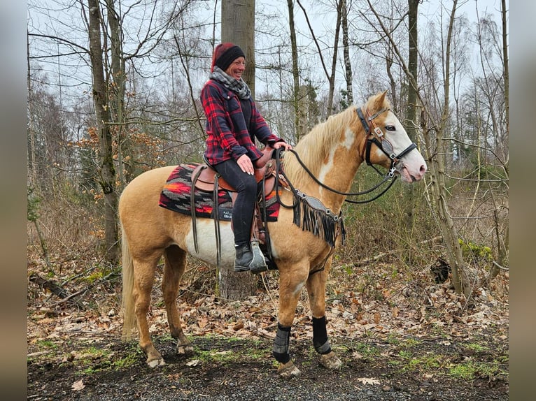 American Paint Horse Yegua 11 años 157 cm Overo-todas las-capas in Linkenbach