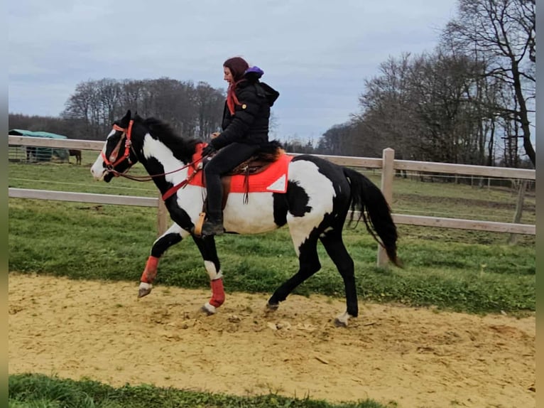 American Paint Horse Yegua 5 años 152 cm Overo-todas las-capas in Linkenbach