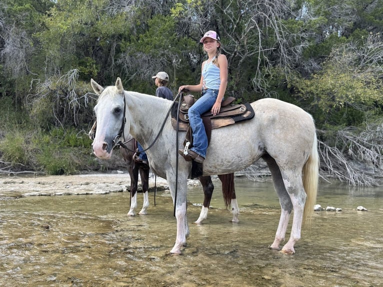 American Paint Horse Yegua 5 años 155 cm Palomino in Cleburne