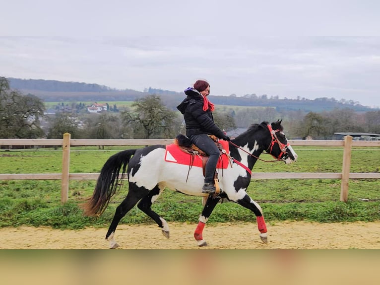 American Paint Horse Yegua 6 años 152 cm Overo-todas las-capas in Linkenbach
